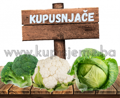 Kupusnjače