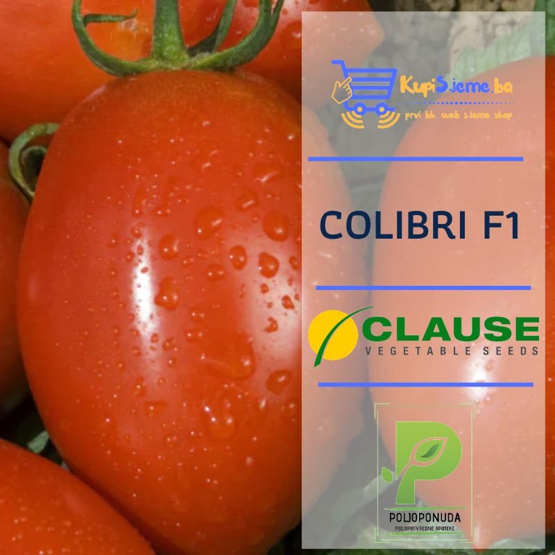 IMG-48c57e3f4e469a7db18b251a71b1dbd9-V